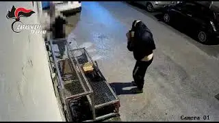 Svaligiavano attività commerciali, 3 arresti ad Alcamo