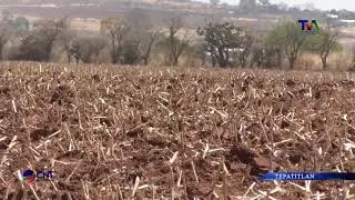 SEQUIA EN LOS ALTOS