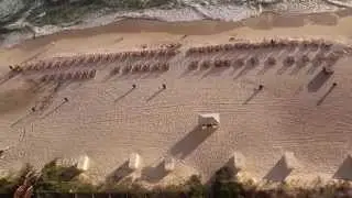 Celadon #1405  |  17757 Front Beach Road #1405 Panama City Beach, FL 32413