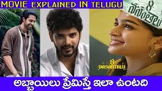 అబ్బాయిలు ప్రేమిస్తే ఇలా వుంటది | Movie Explained In Telugu | bheeshu