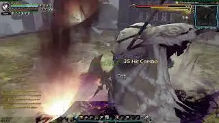 【龍之谷DragonNest】ProjectDuck私服 貓 暗槍新手裝備視角