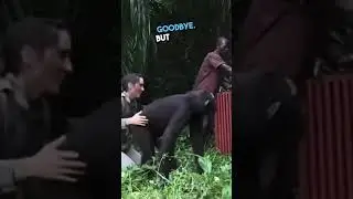 Emotional monkey release 🥺❤️ #shorts
