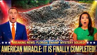 99% EXTINCT: Florida Released 100+ MORE Snakes to Fight 300,000 Pythons-What Happened Next Is INSANE