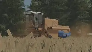Na gospodarstwie #1🚜żniwa przenicy🌿