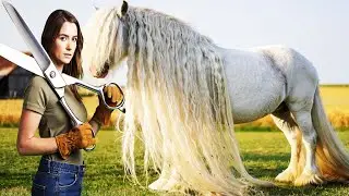 😲WHY DID THIS HORSE BECOME BLIND? Pretty Girl Grooms Most Neglected Horse on Farm! Scissor Cutting✂️