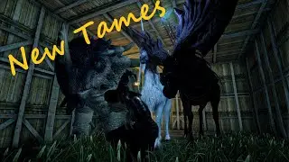 Dark And Light 4k EP5 Unicorn Tame!