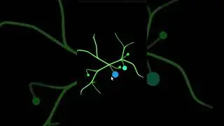 Html and Css Effects | Css Animation | Javascript Animation 