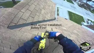 Steep Roof Squirrel Removal – Wildlife Shield