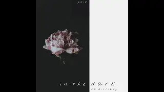 Akif - In The Dark ft.Dilliboy (Visualizer)