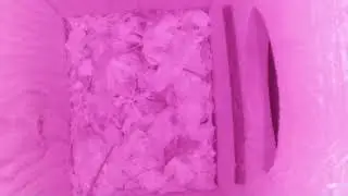 Birdbox One  - Live feed and videos from our Eastern Screech owl box