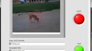 animal detection using image processing with the help of labview