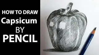 How to draw bell pepper drawing by pencil step by step | bell pepper drawing | pencil sketch