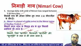 Nimari Cow milk per day | MPCG PAT Nimari cattle |  Madhya Pradesh cow breed |  Nimari cow in hindi