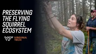 Preserving the ecosystem of flying squirrels in Appalachia