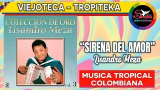 SIRENA DEL AMOR lisandro meza / viejoteca cumbia yu vallenato colombiano / musica bailable alegre