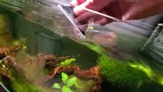 how to remove hard water stain from fish tank hard water stain removal from glass