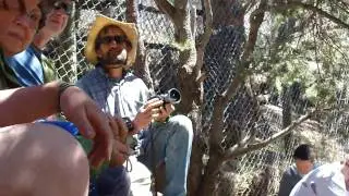 Kent At Mission Wolf