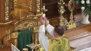 5th Sunday in Ordinary Time