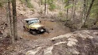 Swamp Donkey Jeep Flop
