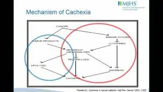 Management of Anorexia Cachexia
