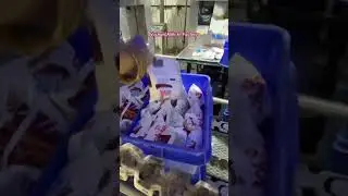 Vachan Milk Dairy factory 😱