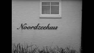 An der Nordsee - Katerchen durfte nicht mit | Sony A7CII
