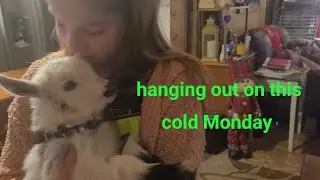 Hanging Out on this Cold Monday 
