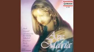 Ave Maria, WAB 5