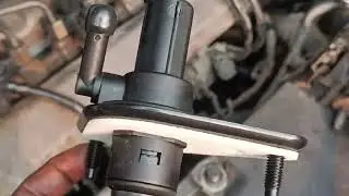 Verna fluidic rear clutch