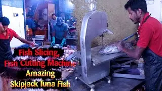 Fish Cutting Machine | Fish Slicing