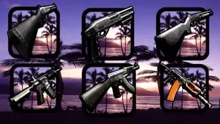hawaii icons.wmv