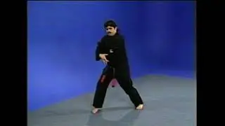 Long Form Six | Breakdown and Application | Kenpo Karate | Mohamad Tabatabai