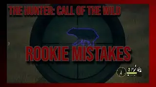 Black Bear Hunting In Layton Lake | Rookie Mistakes | The Hunter Call of the Wild