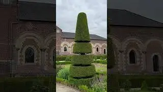 beautiful garden in the Templar castle. Прекрасный сад в замке Тамплиеров.
