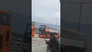 COLOR ORANGE BUSSES