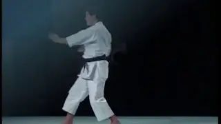 糸東流空手道型「平安初段～五段」 糸東流空手形全集1 KARATE