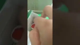 Minyak Lintah Gunung Hijau