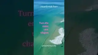 Heart Break Fact for Your Life Part-7 #shorts #heartbreak #heartbreakingstatus #heartbreakingquotes
