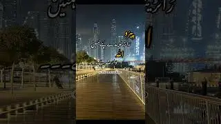 Saraiki status
