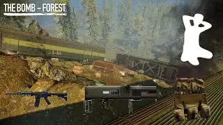 solo DSOD the bomb : forest with crew chief and 1 convert, no AI, down and throwable