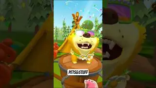 🍯ФАНАТ Меда 🐻 в игре PETS & STUFF VR 🎮 #vr #petsandstuffvr #vrgames #vrgaming  #funny #heyleksa