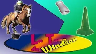 LES TECHNIQUES SUR WINDSOR :[Tuto Pony-Games]