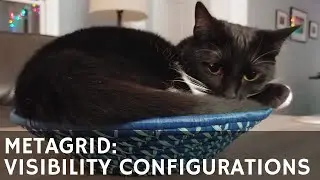 AA27 Metagrid: Visibility Configurations & Key Commands
