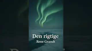 Den rigtige