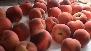 How to Purchase and Freeze Peaches