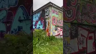 HSV x VfB    Graffiti-Action unter Freunden an der Trave🤝🏻   #hsv #vfb #graffiti