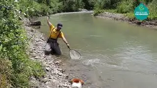 Fliegenfischen in der M&ouml;ll in K&auml;rnten mit ABENTEUER FISCHWASSER