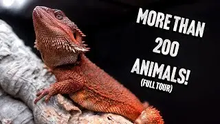 You Won’t Believe What’s in My Reptile Room.. (FULL TOUR)