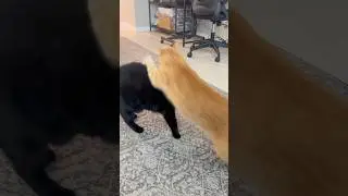 The Most EPIC Battle Ever! #finalboss