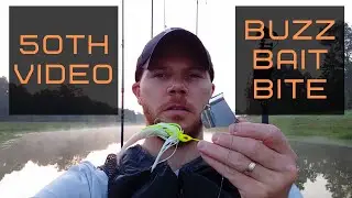 Buzz Bait Bass Fishing | Lake Holcomb